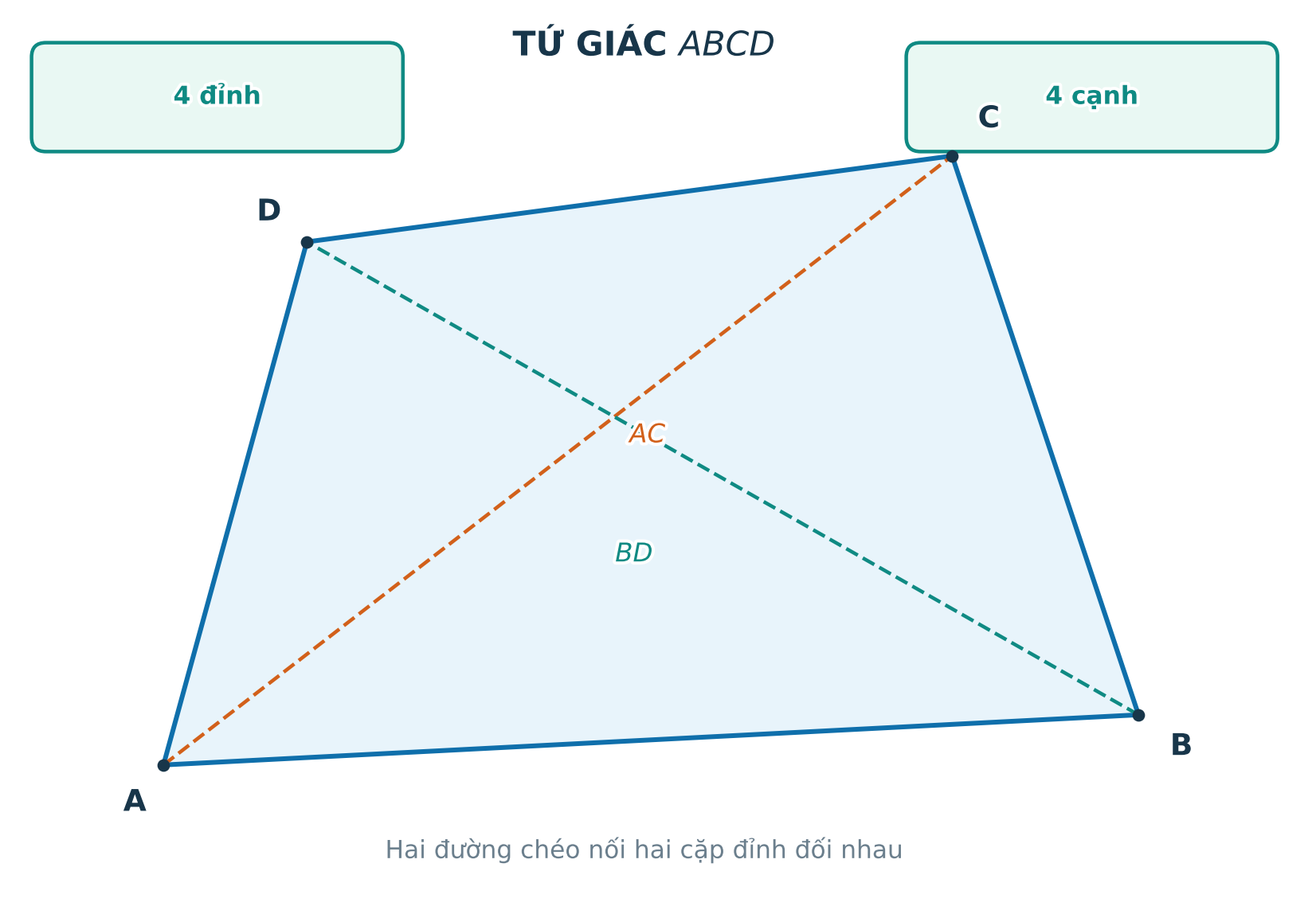 Tứ giác ABCD với các cạnh, đỉnh, góc và hai đường chéo