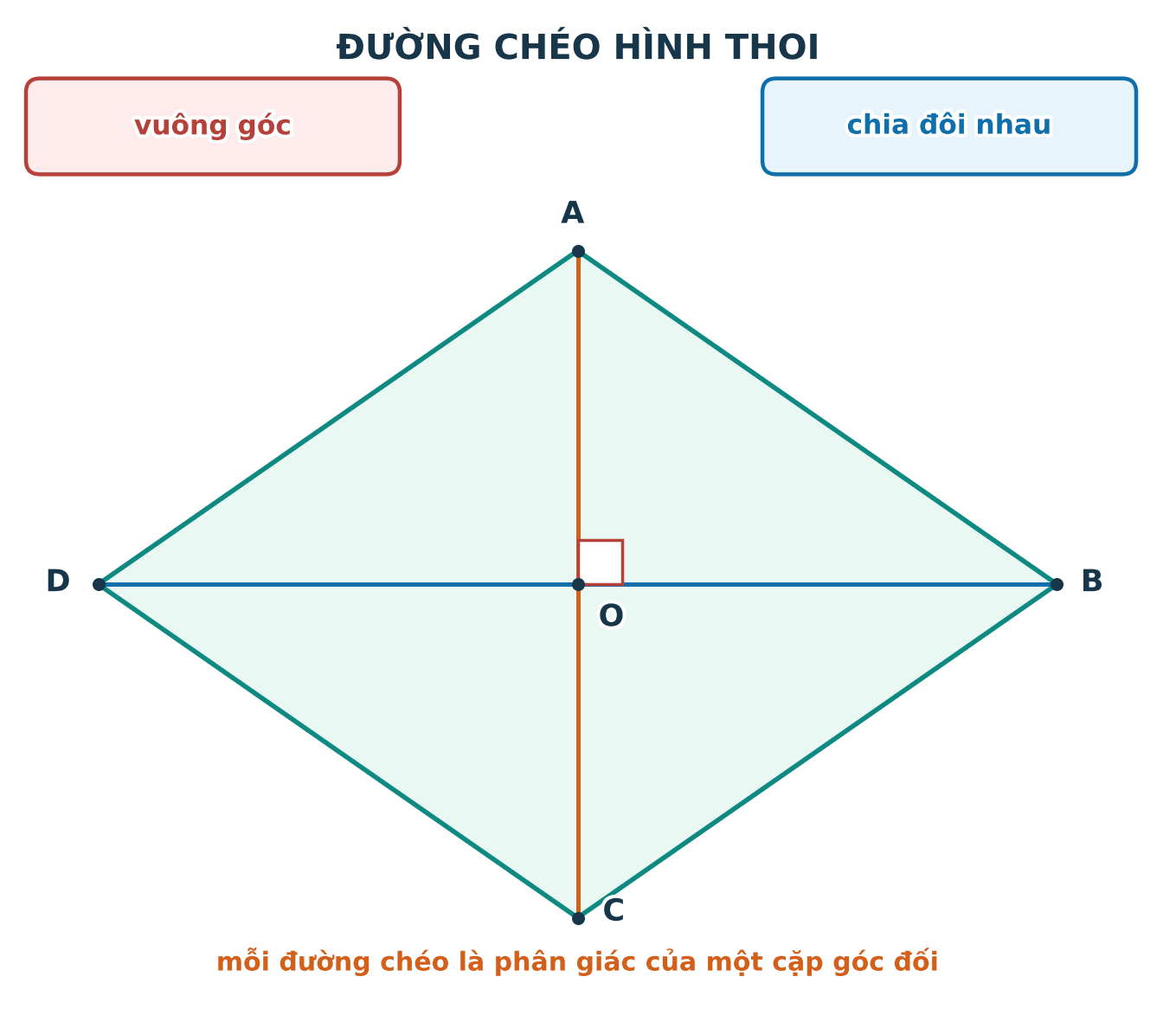 Hai đường chéo của hình thoi vuông góc và phân giác các góc