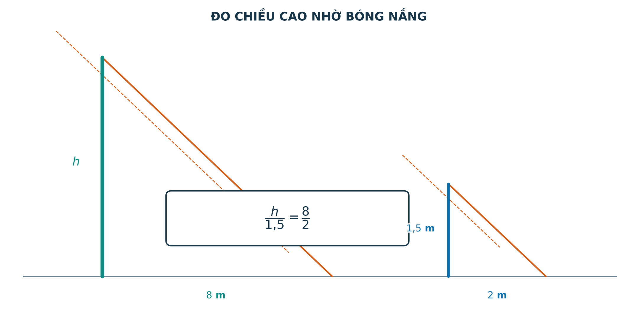 Đo chiều cao của cây bằng hai tam giác đồng dạng