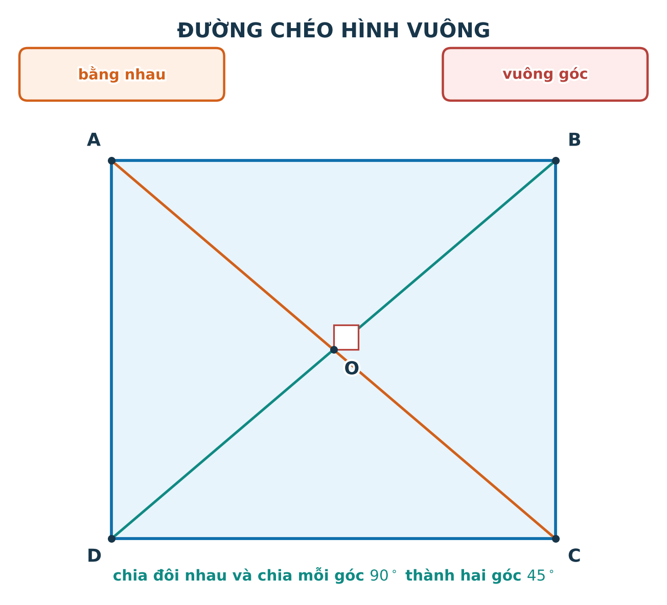 Các tính chất của hai đường chéo hình vuông