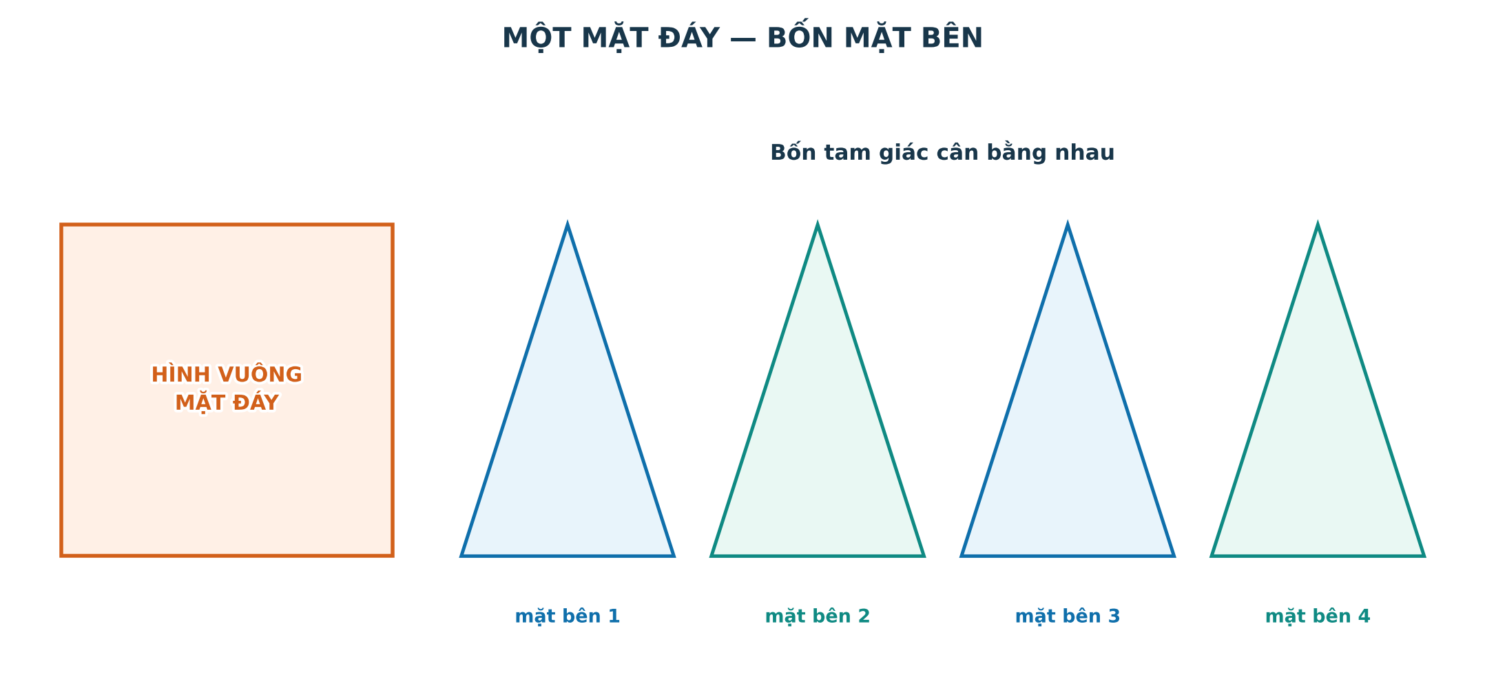 Mặt đáy và bốn mặt bên của hình chóp tứ giác đều