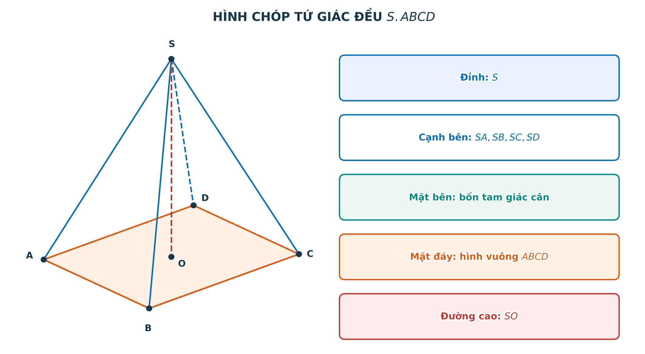 Các yếu tố của hình chóp tứ giác đều
