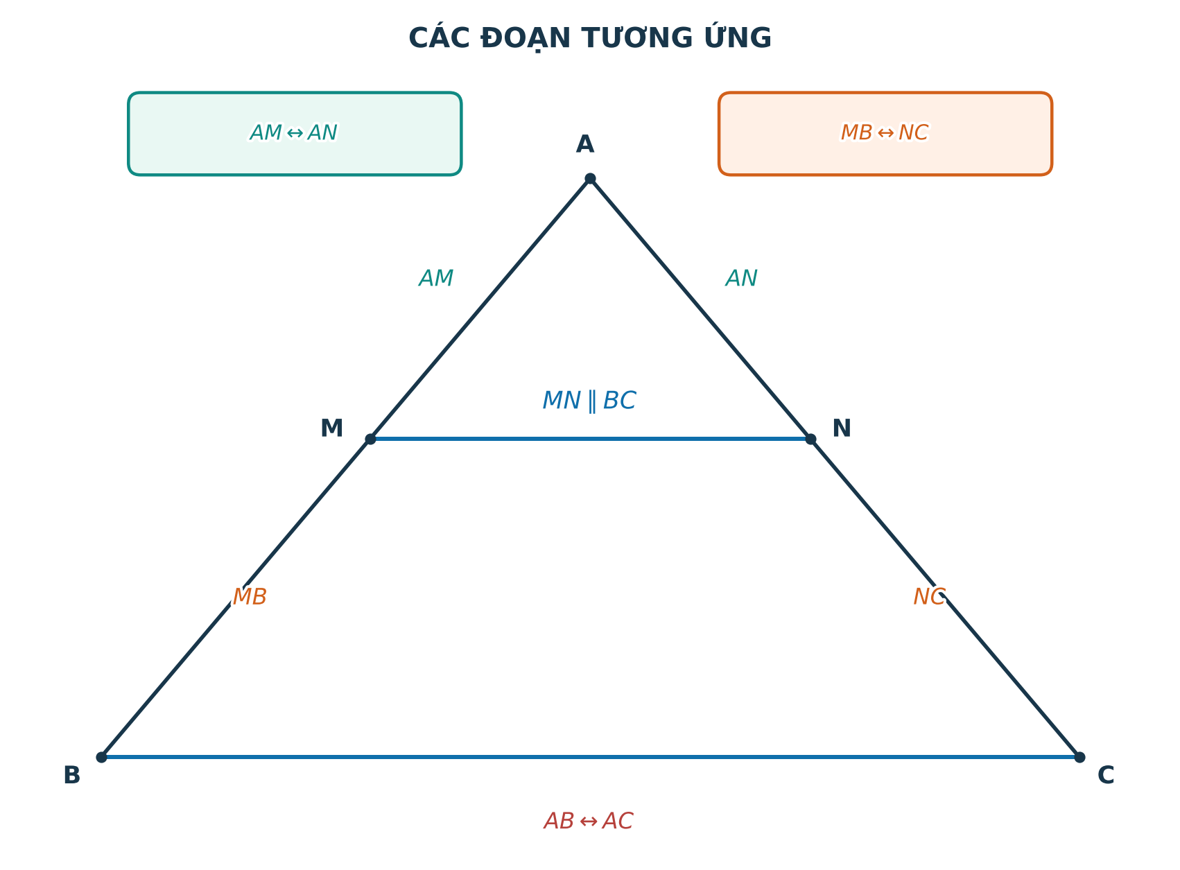 Các cặp đoạn thẳng tương ứng trong định lí Thales