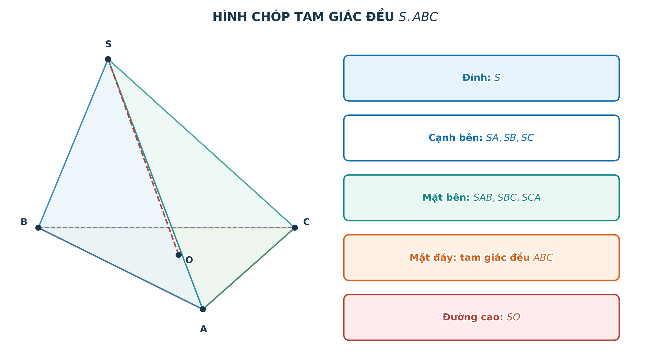 Các yếu tố của hình chóp tam giác đều