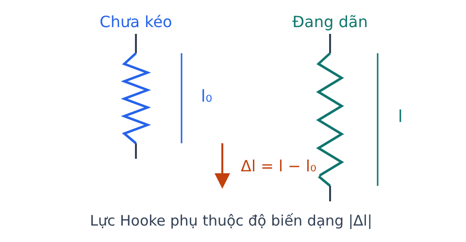 Hai lò xo có chiều dài tự nhiên l0 và chiều dài sau khi dãn l; độ dãn là l trừ l0.
