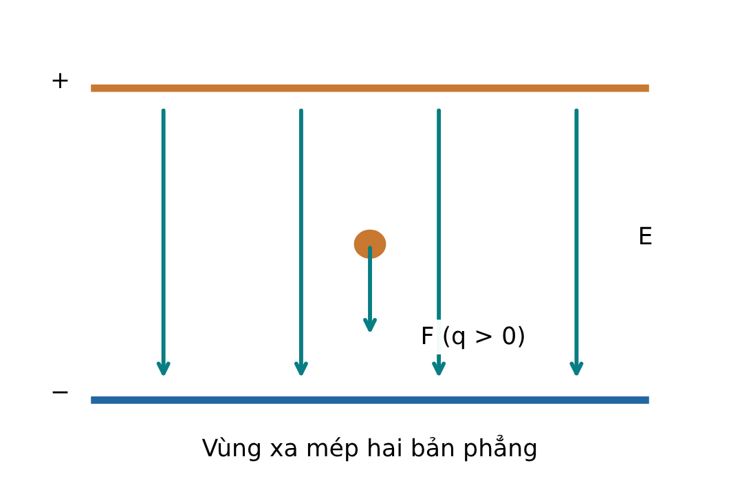 Điện trường giữa hai bản hướng từ dương xuống âm; điện tích dương chịu lực cùng chiều E.