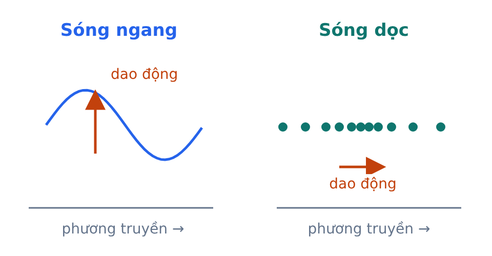 Sóng ngang có phần tử dao động vuông góc hướng truyền; sóng dọc có phần tử dao động cùng phương.