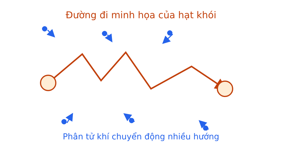 Đường gấp khúc của hạt khói chịu va chạm từ các phân tử khí chuyển động nhiều hướng.