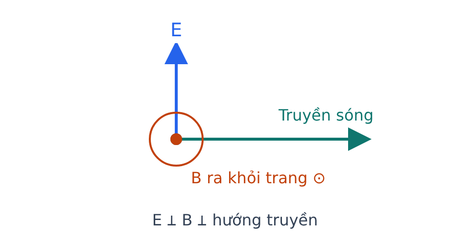 Điện trường E hướng lên, từ trường B hướng ra khỏi trang, sóng truyền sang phải.