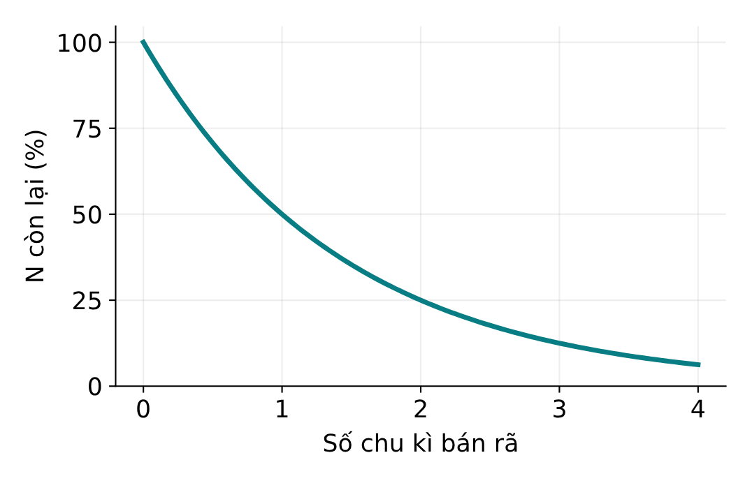 Tỉ lệ số hạt mẹ còn lại giảm một nửa sau mỗi chu kì bán rã.