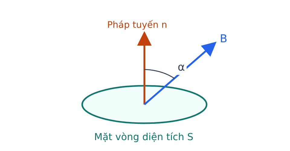 Vòng dây phẳng có pháp tuyến n hướng lên và vectơ B nghiêng một góc alpha với n.